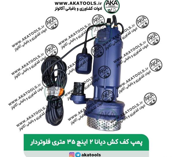 عکس ماشین دیانا