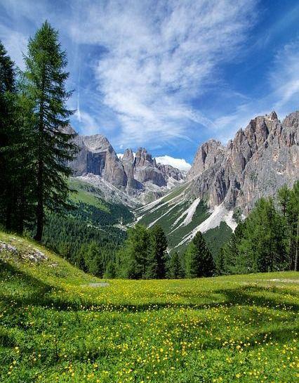 عکس طبیعت سبز