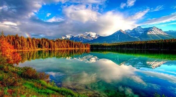 عکس طبیعت سبز
