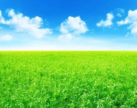 عکس طبیعت سبز