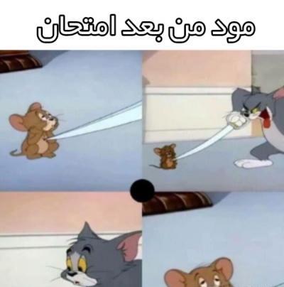 عکس طنز تام و جری