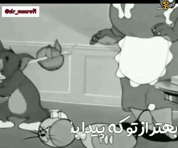 عکس طنز تام و جری