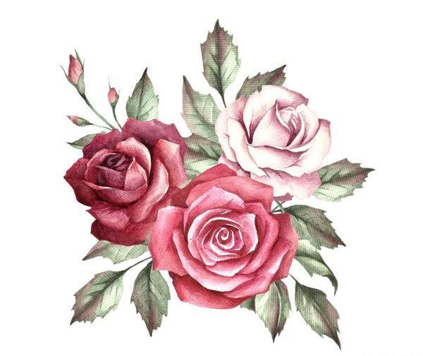 عکس گل طبیعی نقاشی