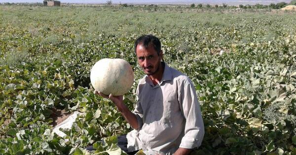 عکس محمد آباد
