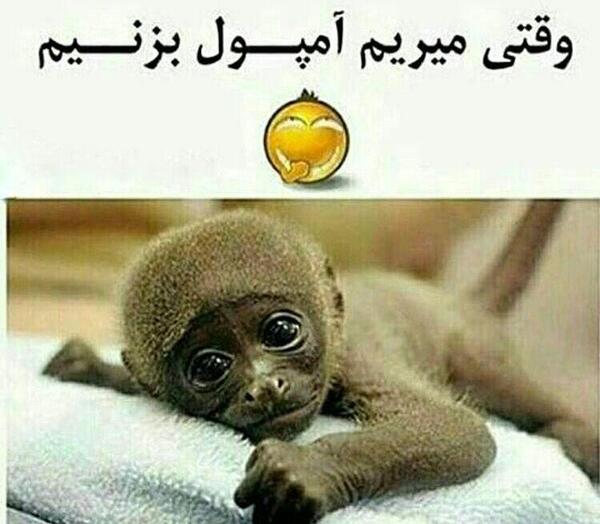 عکس های خنده دار آمپول