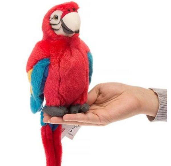 عکس عروسک طوطی