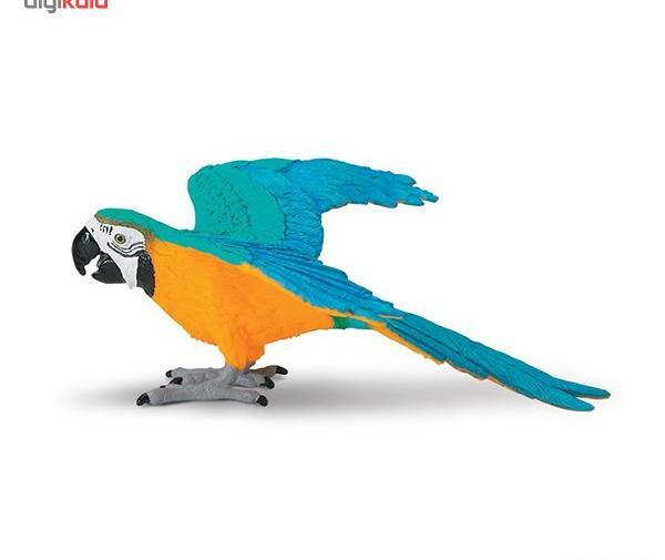 عکس عروسک طوطی