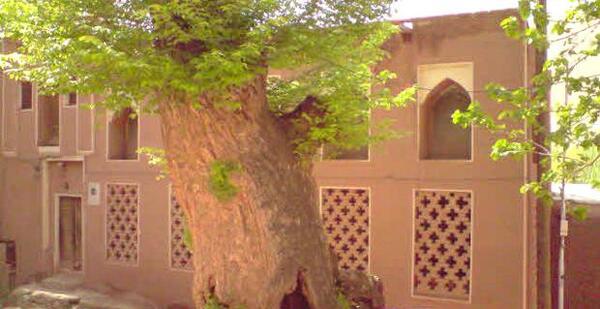 عکس روستای حجت آباد میبد