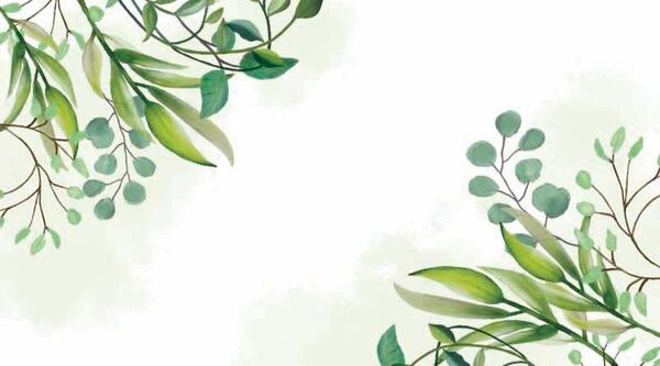 عکس پس زمینه شاخ