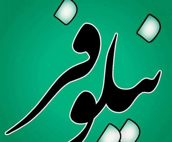 عکس نوشته شده اسم نیلوفر