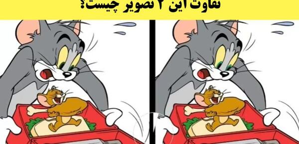 عکس فانتزی موش و گربه