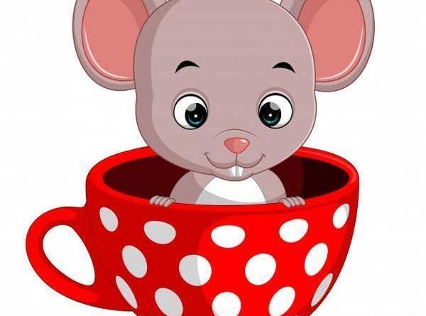 عکس فانتزی موش و گربه