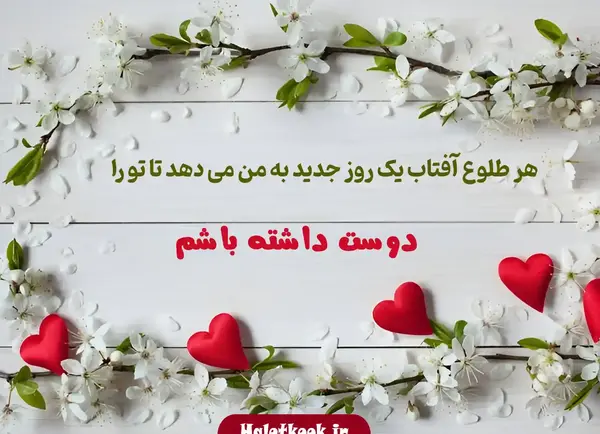 عکس نوشته صبح بخیر دوست عزیز