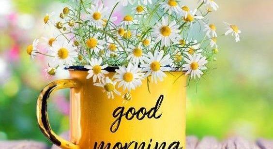 عکس نوشته صبح بخیر دوست عزیز