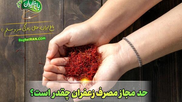 عکس ساییدن زعفران