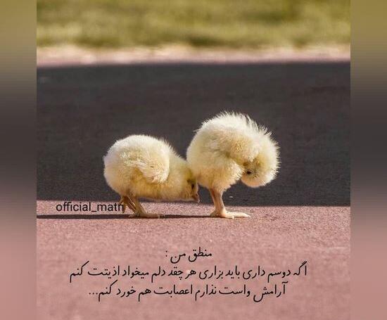 عکس نوشته طنز واتساپ
