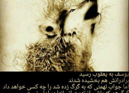 عکس نوشته های باحال گرگ