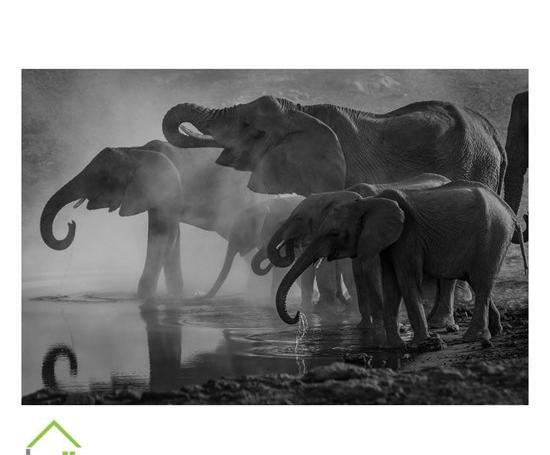 عکس سیاه افریقایی