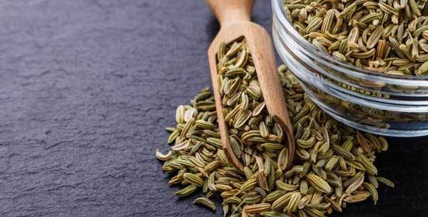 عکس انواع رازیانه