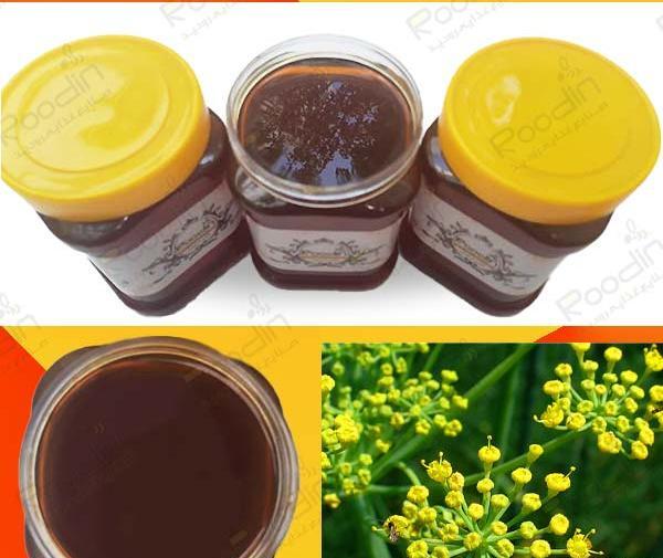 عکس انواع رازیانه