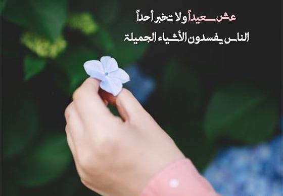 عکس نوشته عاشقانه عربی جدید