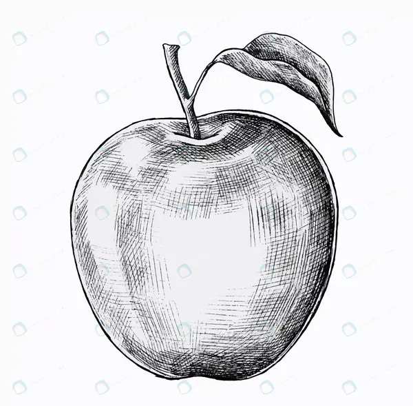 عکس وکتور نقاشی