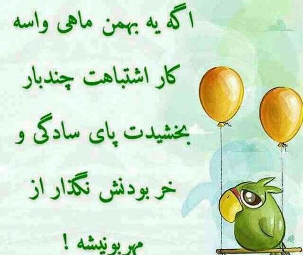 عکس یه بهمن ماهی