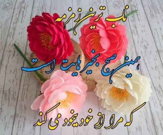 عکس نوشته سلام خالی