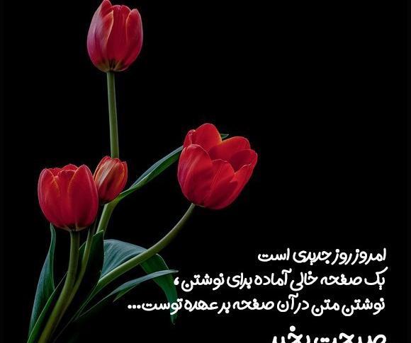 عکس نوشته سلام خالی