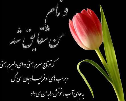 عکس نوشته با نام شقایق
