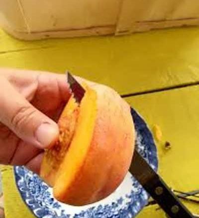 عکس لواشک شلیل