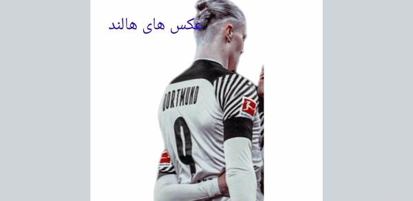 عکس های هالند