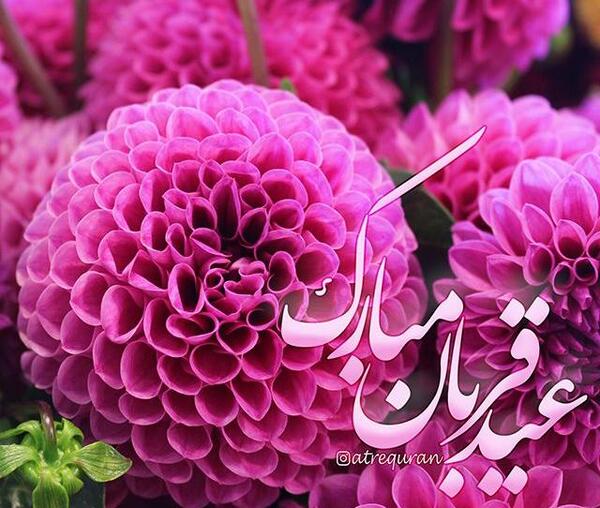 عکس و متن عید قربان