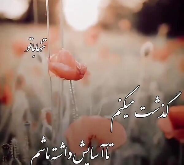 عکس نوشته فقط صبر میکنم