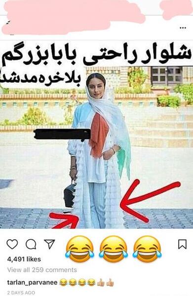 عکس حیوان خانگی ترلان پروانه
