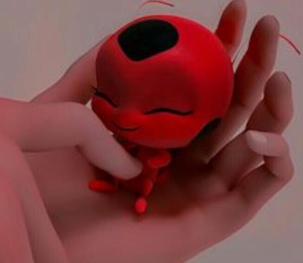 عکس تیکی میراکلس