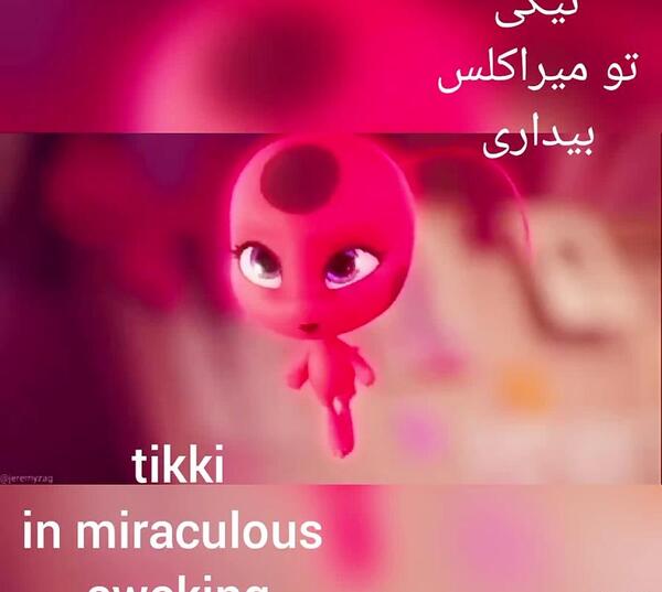 عکس تیکی میراکلس