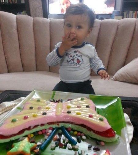 عکس ژله پروانه