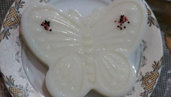 عکس ژله پروانه