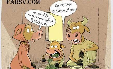 عکس طنز دلار