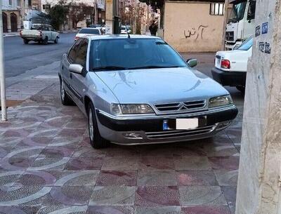 عکس عنکبوت خنده دار