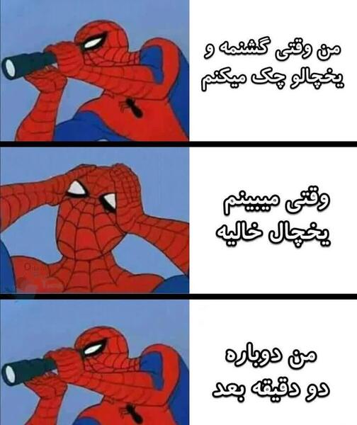 عکس عنکبوت خنده دار