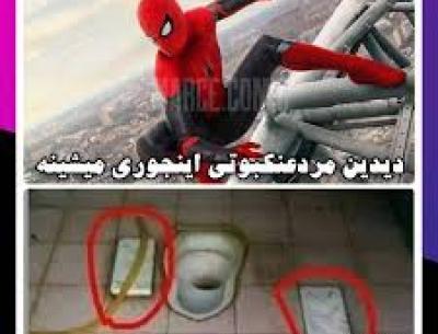 عکس عنکبوت خنده دار