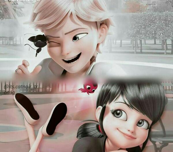 عکس میراکلس ویسگون