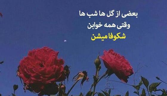 عکس نوشته با متن کره ای