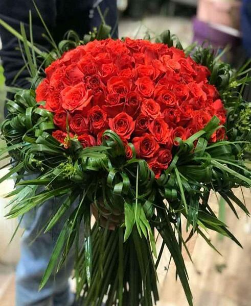 عکس گل رز ایرانی