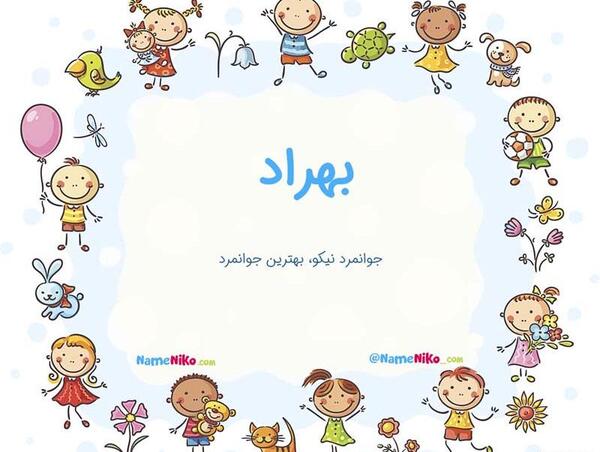 عکس بهراد چهک
