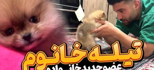 عکس دپ مهدی