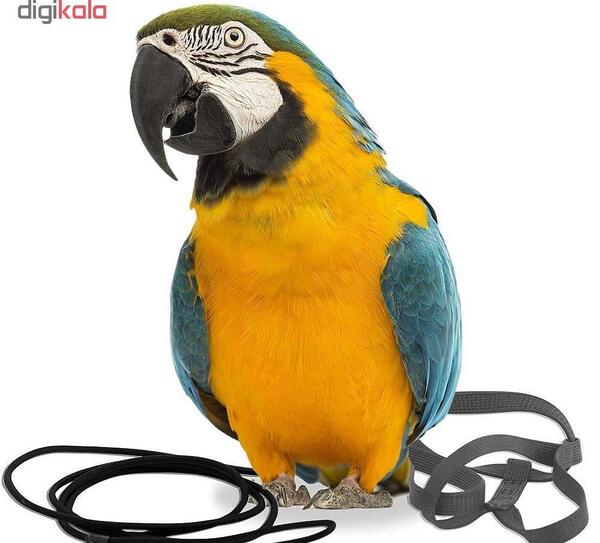 عکس جلیقه ی عروس هلندی