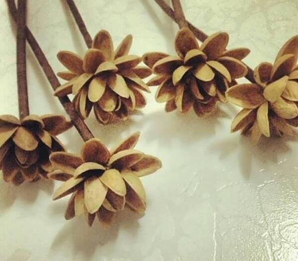 عکس ایده برای کاردستی با پوست آجیل